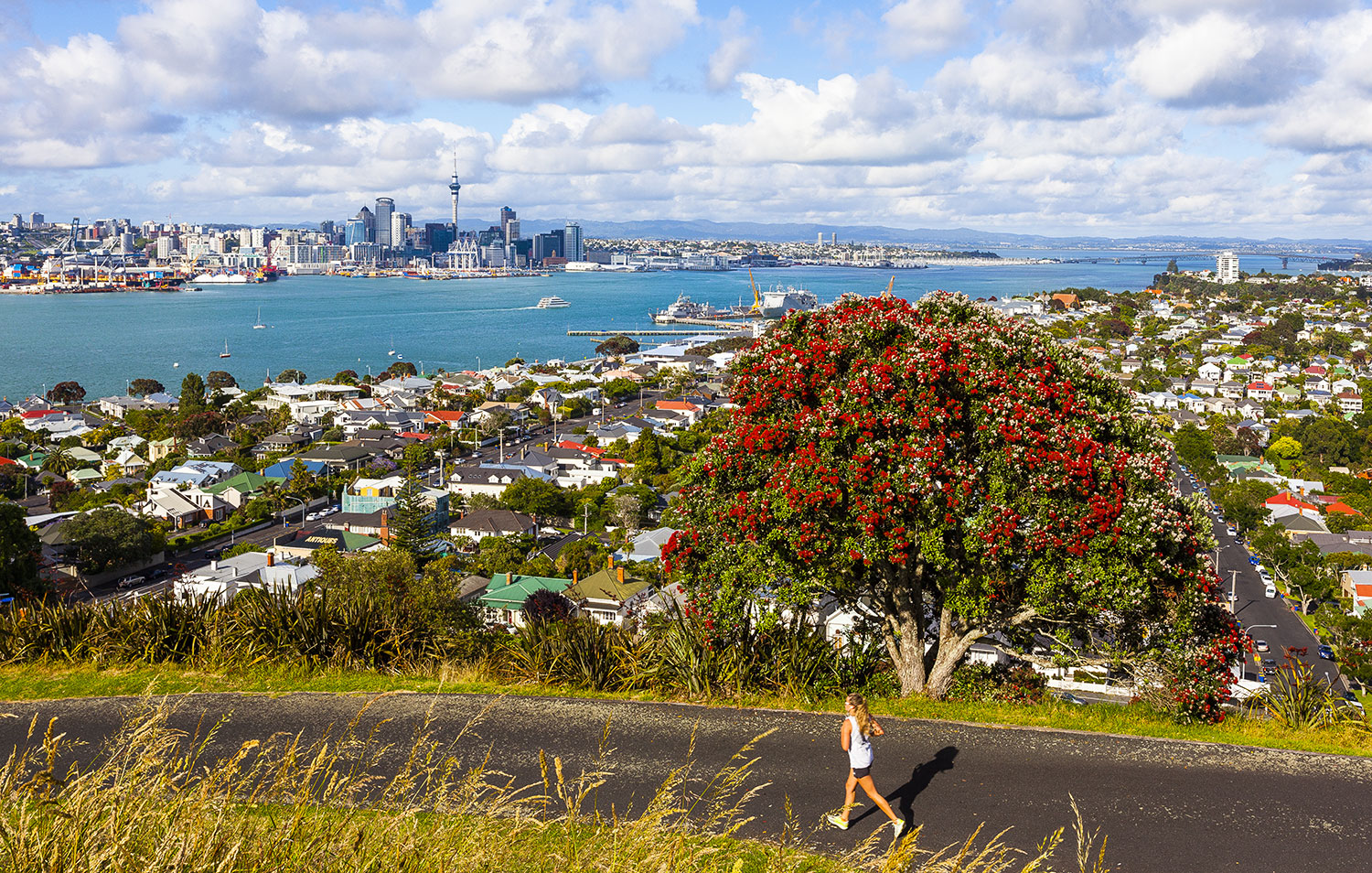 Devonport and Auckland City, Auckland, New Zealand