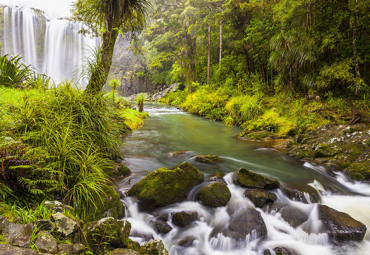 Whangarei Falls, Whangarei, New Zealand